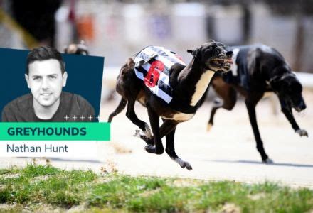 derby betting oddschecker